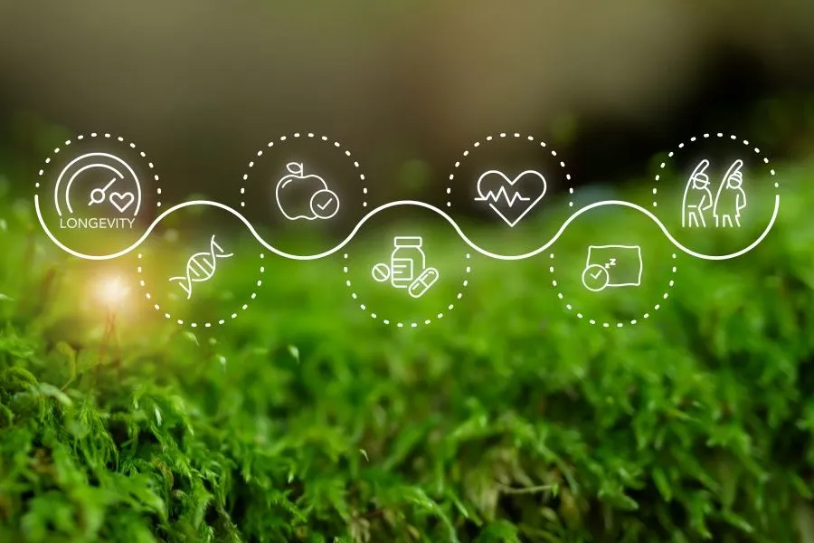 Crops with a symbols like sustainability and longevity on it.